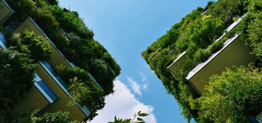 Biophilic Design: Bringing Nature into Everyday Spaces