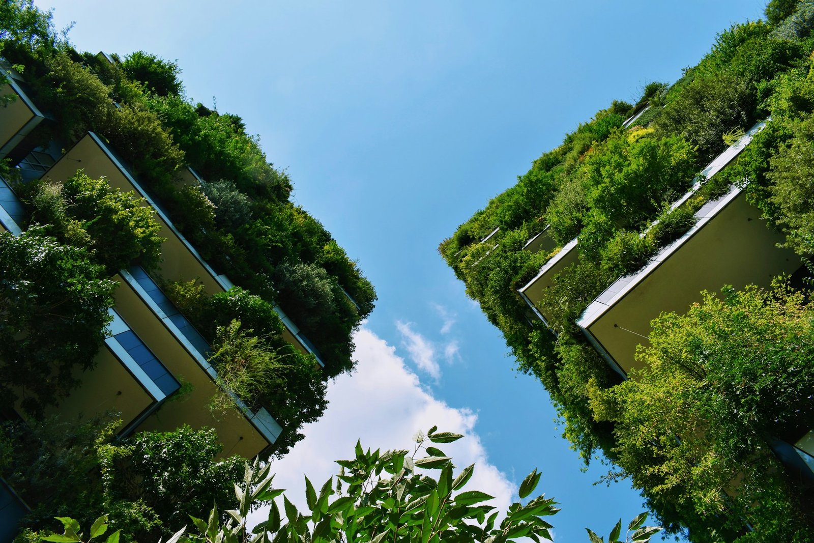 Biophilic Design: Bringing Nature into Everyday Spaces