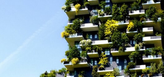 Building with the Future in Mind: A Practical Guide to Eco-Conscious Architecture