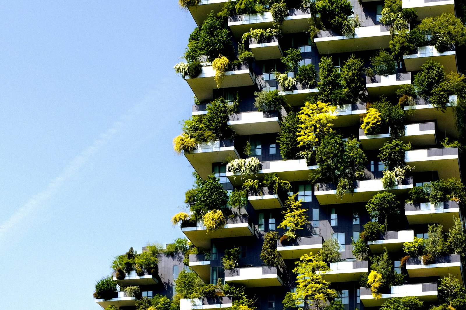 Building with the Future in Mind: A Practical Guide to Eco-Conscious Architecture